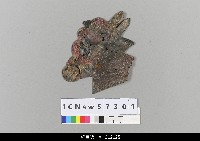 藏品(中國湖北皮影戲偶頭-淨)的圖片